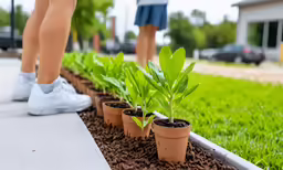 a plant in a row outside of the house