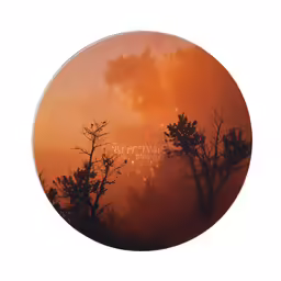 the sky is very dark and red and the trees in the fog are silhouetted against it