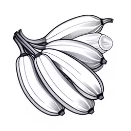 a drawing of several ripe bananas on a white background,a drawing of a bunch of bananas on a white background
