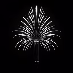 the palm tree in the dark with fireworks