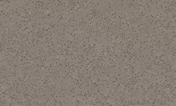 the light brown speckled concrete wallpaper background