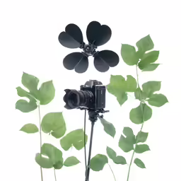 an artistic photo with green leaves and a camera
