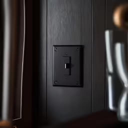 an ornate black door with a light switch