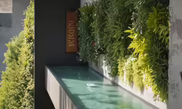 plant life is growing up to the side of a building