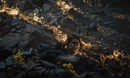 a girl lying on the ground in the forest