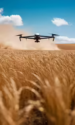 a plane flying low over a field of tall grass