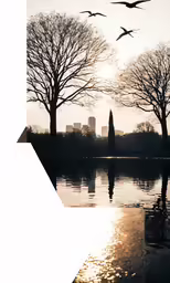 the silhouette of two trees are reflecting in the water