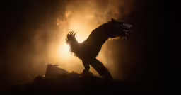 a person in a costume standing next to the light behind him