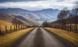 a rural road with mountains in the distance