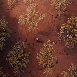 there is a man walking in the woods