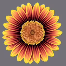 an image of a very pretty flower that is yellow,an orange sunflower is the centerpiece of a grey background