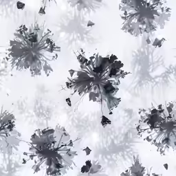 an overhead view of many black and white flowers