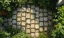 an overhead view of a pathway made with cement and grass