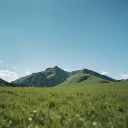a meadow with tall green hills and a blue sky