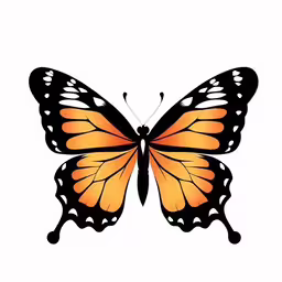 an orange butterfly sitting on top of a white background,a butterfly on a white background