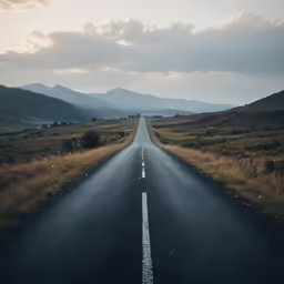 the road is empty and has no cars