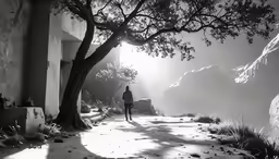 a man standing under a tree on a street