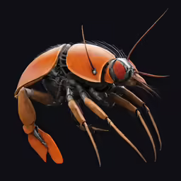 an insect with long legs and eyes, black background