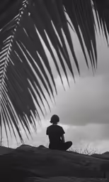 a person sitting on top of a rock