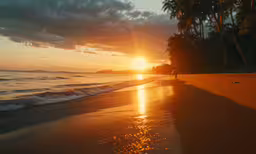 the sun sets on a tropical beach near the ocean