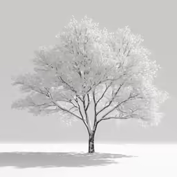 a tree with white leaves is shown in black and white