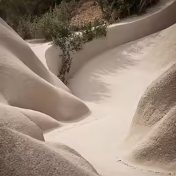 some white sand and bushes on a hill