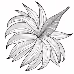 a drawing of a leaf that is black and white,a drawing of a flower, done in black and white