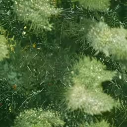 an image of some green leaves covered in drops of rain