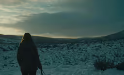 a woman with a walking stick walks through a snowy landscape