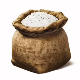 a bag of rice on a white background