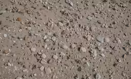 a closeup of rocks and pebbles as seen from above