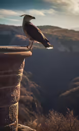 a large bird perched on a ledge with mountains in the background