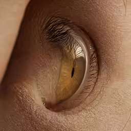 the eye of a woman with large lashes is looking up