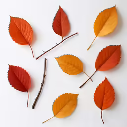 seven autumn leaf arrangements are arranged in rows