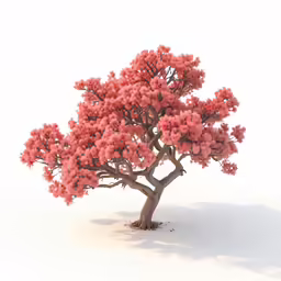 a large, tree with pink blossoms in a white background