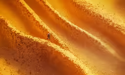 an animal is in the middle of a desert