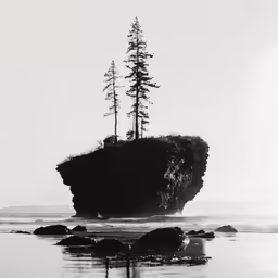 some trees are on an island on the ocean