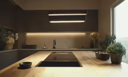 a kitchen with lots of plant pots and cabinets