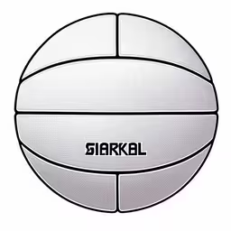 a close up view of a white sports ball,an illustrated image of the front of a white plastic beach ball,a white water polo ball with the word shark on it,a drawing of a white beach ball, with the word sivar,a close up view of a large white, foam ball