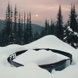 a belt is laying in snow and surrounded by pine trees