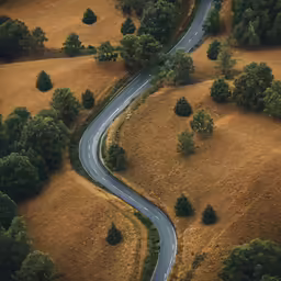a twisting road in the middle of a field