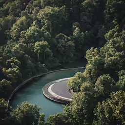 a winding road in the middle of trees next to a body of water