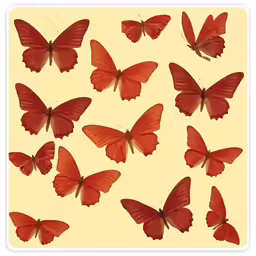an image of many butterflies on a yellow background