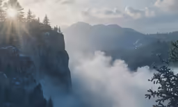 a mountain top covered in clouds and a forest