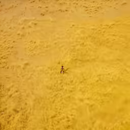 aerial view of a person on a large field
