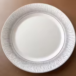 white dinner plate with decorative lines on the rim