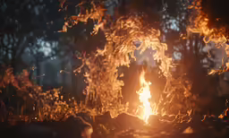 a fire is lit by the sun through the trees