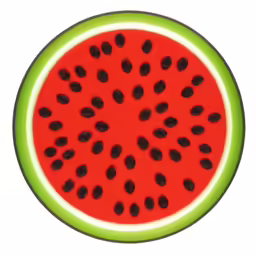 a plate topped with a piece of red and green watermelon