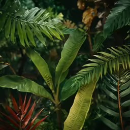 tropical plants and greenery with lots of green leaves