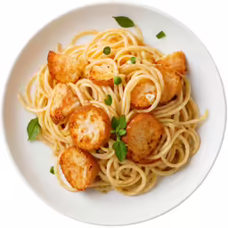 scallops in linguini pasta on a plate
